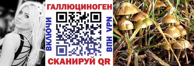 Псилоцибиновые грибы мицелий  Купить  Северо-Курильск 